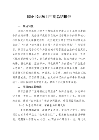 国企书记项目年度总结报告