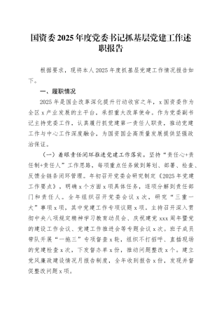 国资委2025年度党委书记抓基层党建工作述职报告20251210