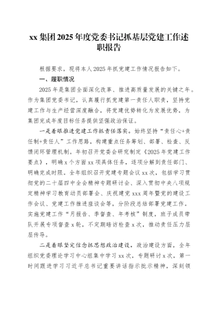 集团2025年度党委书记抓基层党建工作述职报告20251210