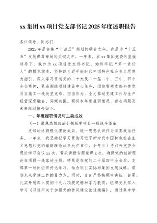集团XX项目党支部2025年度党建工作述职报告20251212