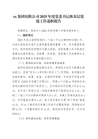 集团有限公司2025年度党委书记抓基层党建工作述职报告20251205（1）