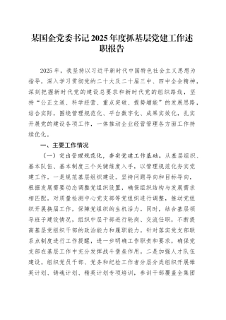 某国企党委书记2025年度抓基层党建工作述职报告