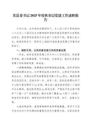 某县委书记2025年度抓基层党建工作述职报告