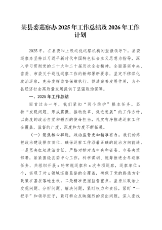 某县委巡察办2025年工作总结及2026年工作计划