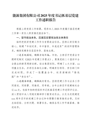 能源集团有限公司2025年度书记抓基层党建工作述职报告20251210