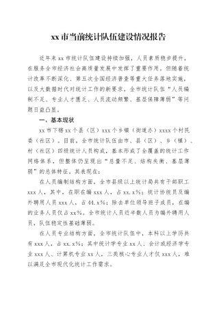 市当前统计队伍建设情况报告