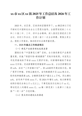 市区镇2025年工作总结及2026年工作计划