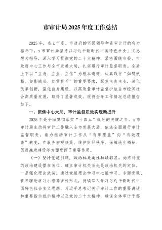 市审计局2025年度工作总结