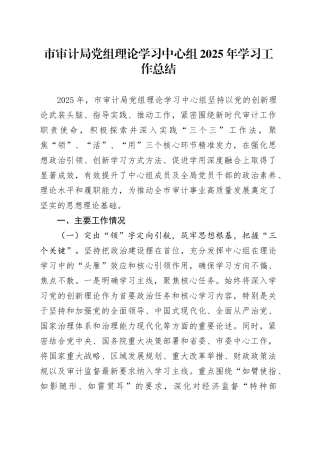 市审计局党组理论学习中心组2025年学习工作总结