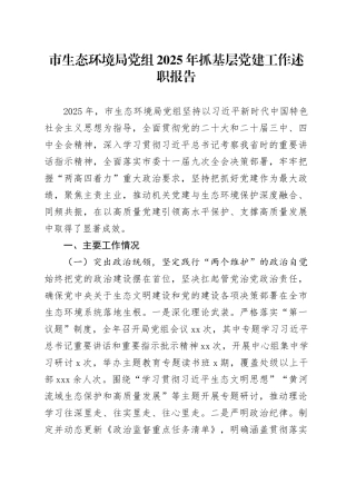 市生态环境局党组2025年抓基层党建工作述职报告20251217