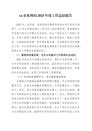 市水利局2025年度工作总结报告