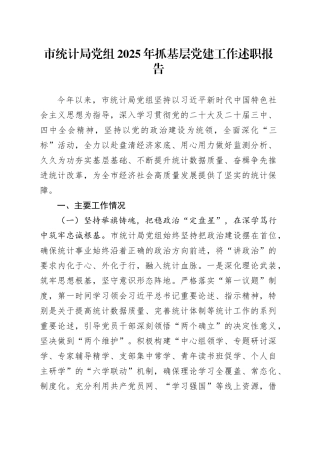 市统计局党组2025年抓基层党建工作述职报告