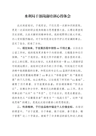 水利局干部岗前培训心得体会