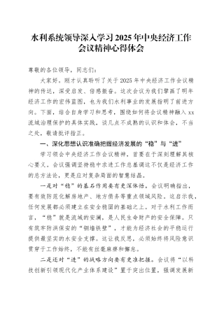 水利系统领导深入学习2025年中央经济工作会议精神研讨发言心得体会