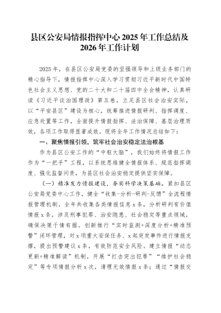县区公安局情报指挥中心2025年工作总结及2026年工作计划