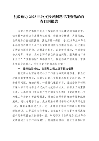 县政府办2025年公文抄袭问题专项整治的自查自纠报告