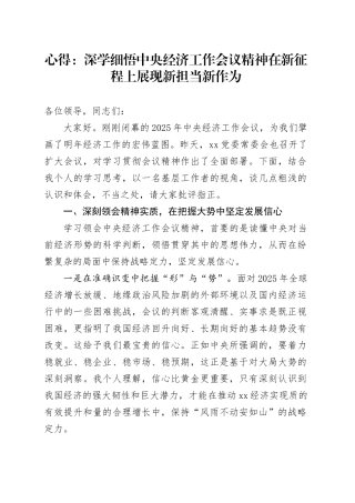 研讨发言心得体会：深学细悟中央经济工作会议精神在新征程上展现新担当新作为