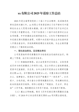有限公司2025年巡察工作总结