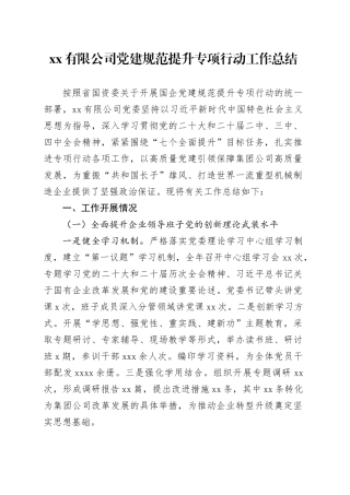有限公司党建规范提升专项行动工作总结