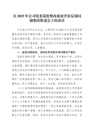 在2025年公司党委巡察整改成效评估反馈问题整改推进会上的讲话