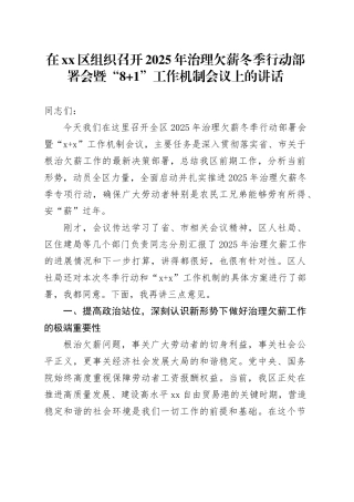 在区组织召开2025年治理欠薪冬季行动部署会暨“8 1”工作机制会议上的讲话