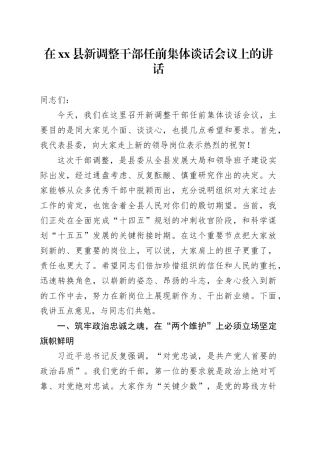 在县新调整干部任前集体谈话会议上的讲话