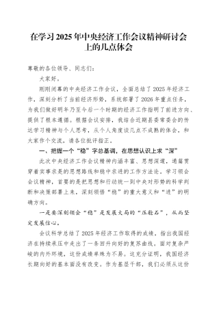 在学习2025年中央经济工作会议精神研讨会上的研讨发言心得体会