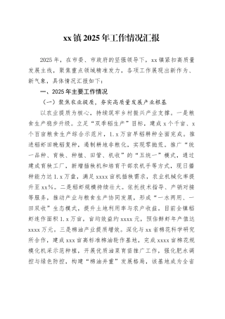 镇2025年工作情况汇报