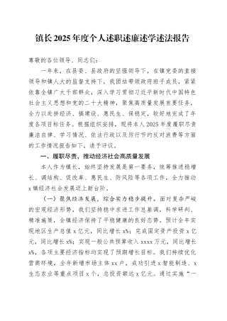 镇长2025年度个人述职述廉述学述法报告(1)