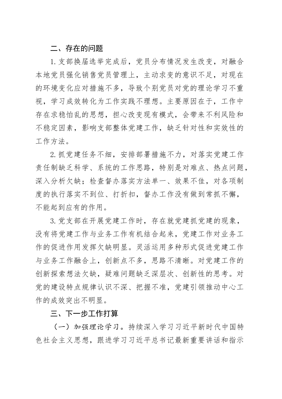 2025党组织书记年度总结报告_第2页