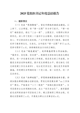 2025党组织书记年度总结报告