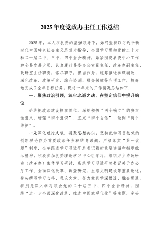 2025年度党政办主任工作总结