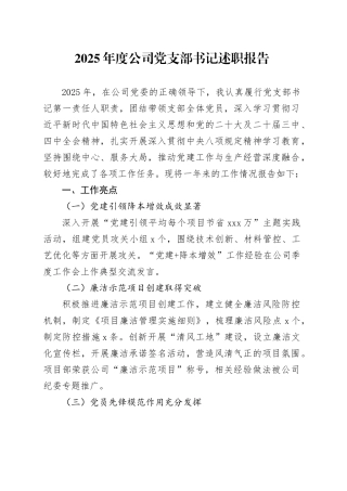 2025年度公司党支部书记述职报告