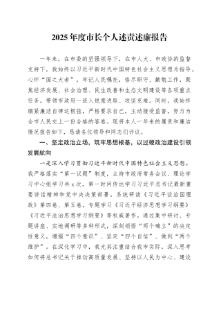2025年度市长个人述责述廉报告