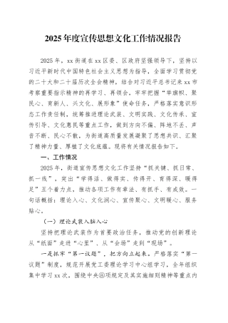 2025年度宣传思想文化工作情况报告