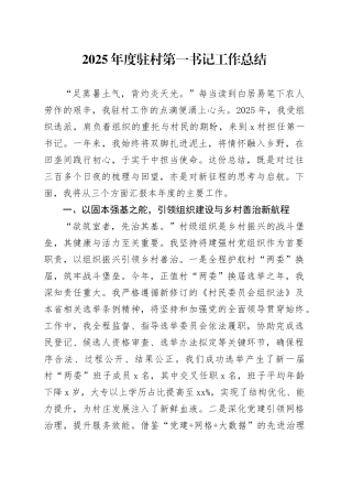 2025年度驻村第一书记工作总结