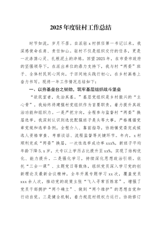 2025年度驻村工作总结