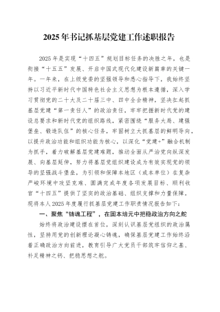 2025年书记抓基层党建工作述职报告