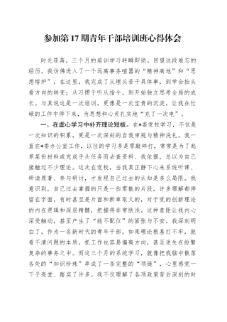 参加第17期青年干部培训班心得体会