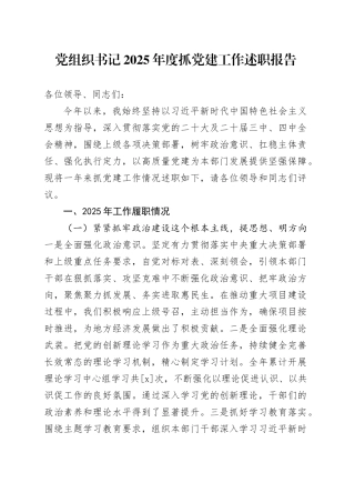 党组织书记2025年度抓党建工作述职报告