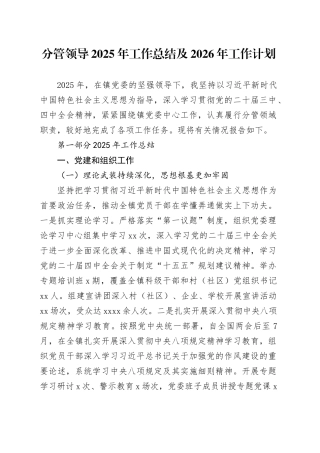 分管领导2025年工作总结及2026年工作计划
