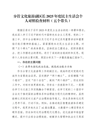 分管文化旅游副区长2025年度民主生活会个人对照检查材料（五个带头）20251229
