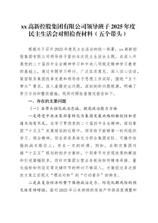 高新控股集团有限公司领导班子2025年度民主生活会对照检查材料（五个带头）20260106