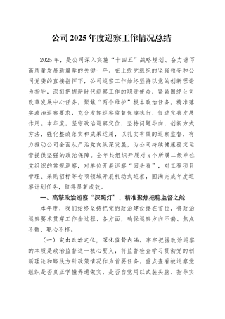 公司2025年度巡察工作情况总结