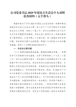 公司党委书记2025年度民主生活会个人对照检查材料（五个带头）_120260104