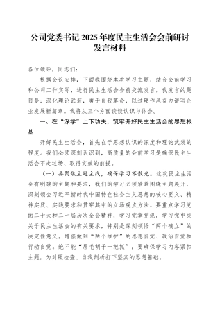 公司党委书记2025年度民主生活会会前研讨发言材料20260108