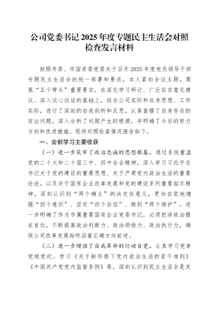 公司党委书记2025年度专题民主生活会对照检查发言材料20260108