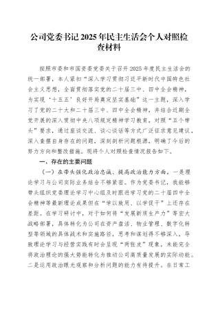公司党委书记2025年民主生活会个人对照检查材料_1（五个带头方面）20260106