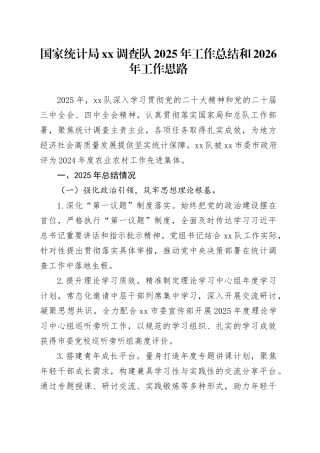 国家统计局XX调查队2025年工作总结和2026年工作思路