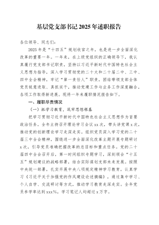 基层党支部书记2025年述职报告20251231